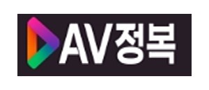 AV정복